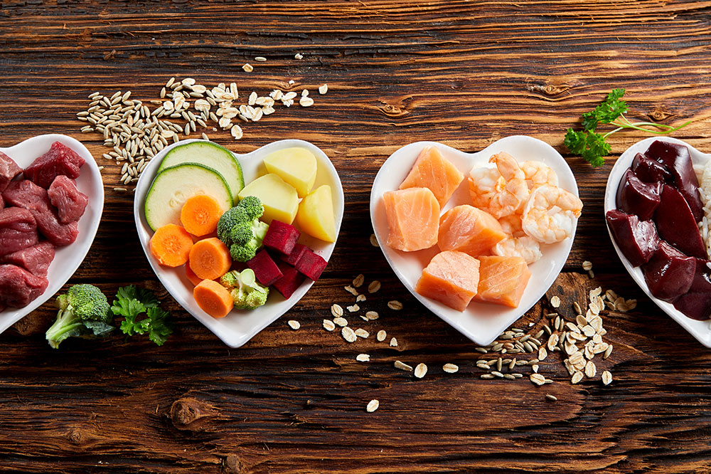 4 Homemade Food Ideas for Dogs with Sensitive Stomachs