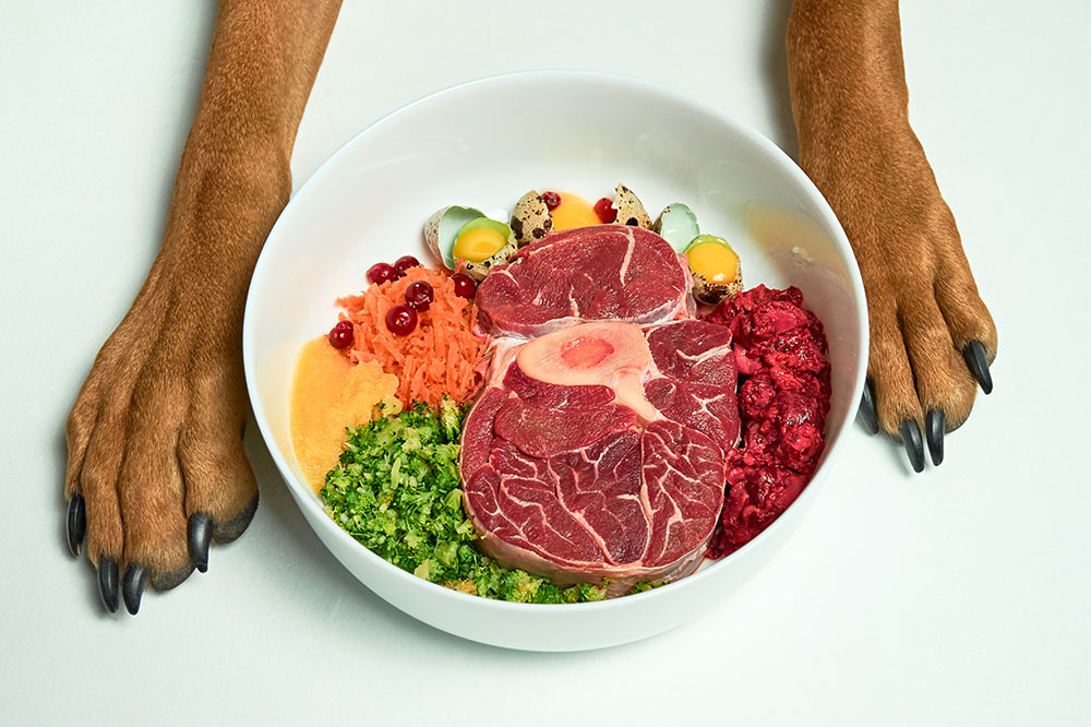 5 Healthy High-Protein Dog Food Brands